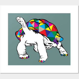 Rainbow Turtle Posters and Art